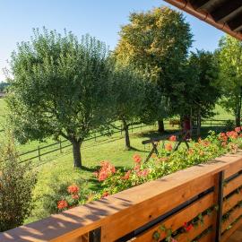 "Ferienwohnung-Alpenglühen" auf dem Ferienhof Singer