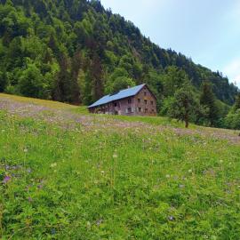 Ferienhütte See 4