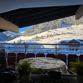 App Steenbok 516 Kleinwalsertal, Hotel in Mittelberg