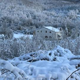 Il Cottage