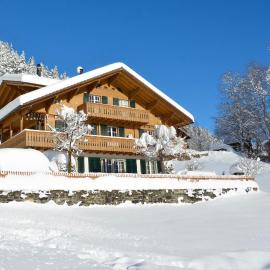 Chalet Gsür, hôtel à Adelboden