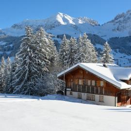Chalet Meiseli, hôtel à Adelboden