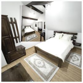 Casa Catinca, hotel in Moldoviţa