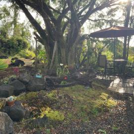 Majestic Banya tree cabin, hotel in Mountain View