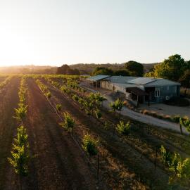 Bed in a Shed Vineyard Stay, hotelli kohteessa Watervale
