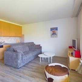 Magnifique appartement avec vue sur les sommets enneigés