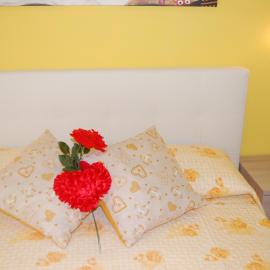B&B Il Salice, hotel a Borghesiana 