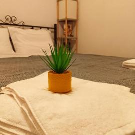 Alley Apartment