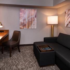 SpringHill Suites by Marriott Pittsburgh North Shore、ピッツバーグのホテル