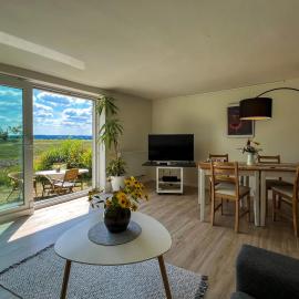 Haus am Oderstrom, hotel u gradu Hohensaaten