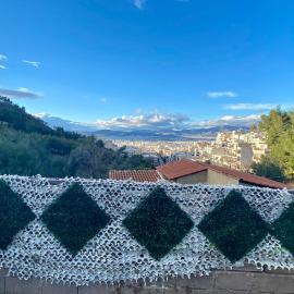 20 mins from city centre, rural house, hotel di Athens