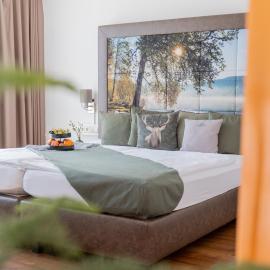 Schwarzwaldhotel Gengenbach, hotell sihtkohas Gengenbach