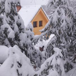 Chata Kubko, hotel in Bobrovník