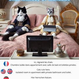 Chez Ramsés et Richelieu, hotel in Pau