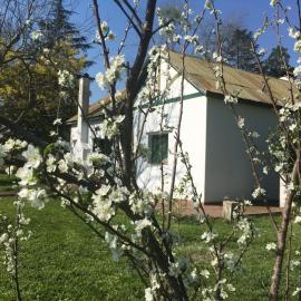 Finca Santo Pietro, hotel in Tomás Jofré