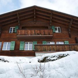 Chalet Wandelgrün