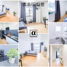 ALFA Apartment Esslingen City Altstadt nahe Stuttgart Messe I 3 Zimmer 5 Betten I Bad I Küche l WIFI & SmartTV I 3BR 5 Beds I Bathroom I Kitchen