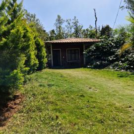 Athena Homestay, hotel din Somvārpet