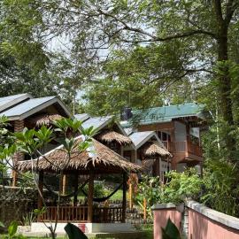 Asim Paris Guesthouse & jungle trekking, Hotel in Bukit Lawang