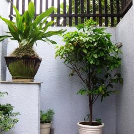Shanti-blissed corner of Saigon river's end