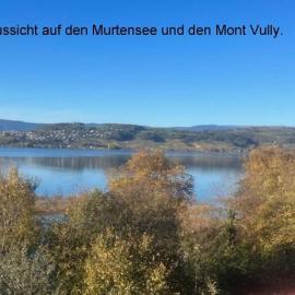 Seeblick, Hotel in Murten