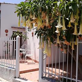 Casa Vacanze Rubino