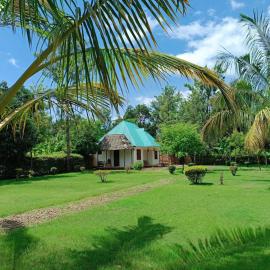 Peace and Love Garden, hotell Mto wa Mbus