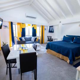 Charming Valley View Studio