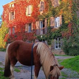 Le moulin de vaux, hotel in Nochizé
