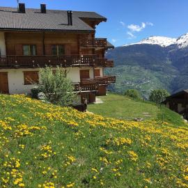 Thyon 4pièces, proche des pistes, Hotel in Hérémence