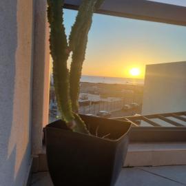 Azotea de Cotillo