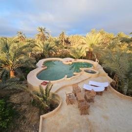 Paradise in a palm forest with epic pool and fire pit, hotel in Siwa