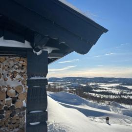 Chalet Skogshorn, hotel en Markegardlian