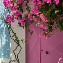 Casa Magnolia Boutique Rooms
