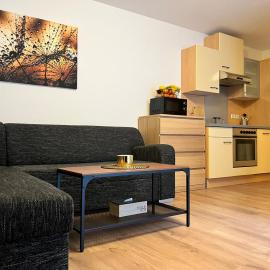 Family Apartment near Mölltaler Gletscher 1