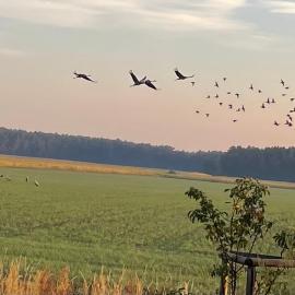 Ferienhaus Naturblick, hotell sihtkohas Drahnsdorf
