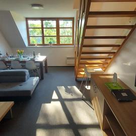 Wellness apartmány Říčky v Orlických horách، فندق في ريكي