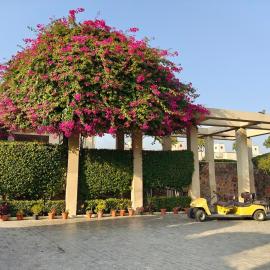 Manesar में, होटल Private Golf course villa, 30 min from Gurgaon