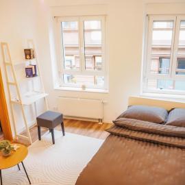 Charming old town apartment - Central in Neustadt, hotel in Neustadt an der Weinstraße