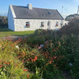 Tigh George, hotel in Lettermore