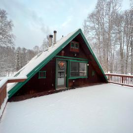 탈키트나에 위치한 호텔 Alaskan Wild Rose Retreat
