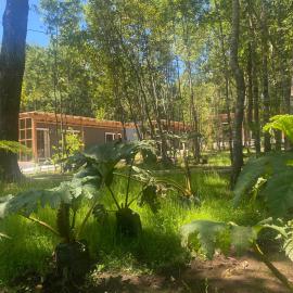 Boker Tov Pucón, Hotel in Pucón
