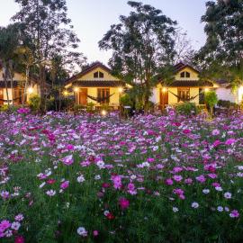 The Nest House, hotel v destinácii Pai