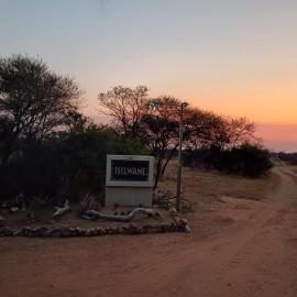 Isilwane Bush Camp