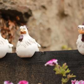 El gallinero de la villana