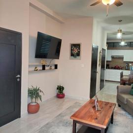 Executive Apartment, hotel di Ramos Arizpe