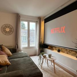 Duplex cinéma - centre historique Tours