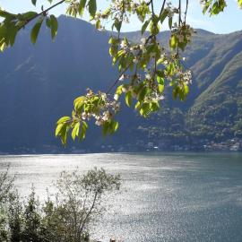 Casa privata con splendida vista lago "Il Gallicantus", hótel í Nesso