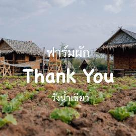 ฟาร์มผัก Thank you, hotel a Ban Kom