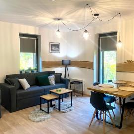 Apartmán Mlýn Herlíkovice 205, Hotel in Vrchlabí